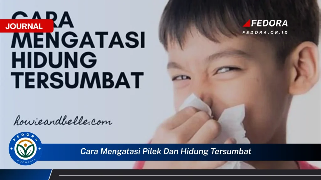 Hubungan Pola Hidup Dengan Hidung Tersumbat Memahami Dan Mengelolanya Secara Holistik